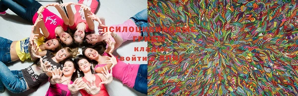 jwh Касимов