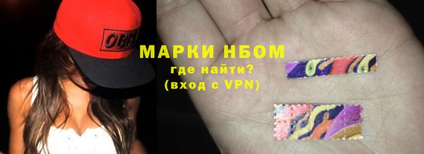 индика Надым