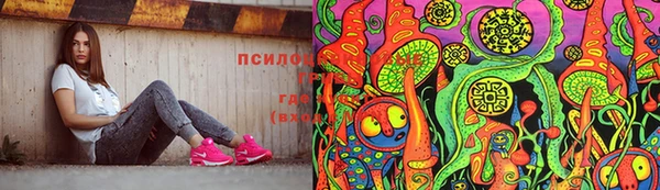 сатива Киреевск