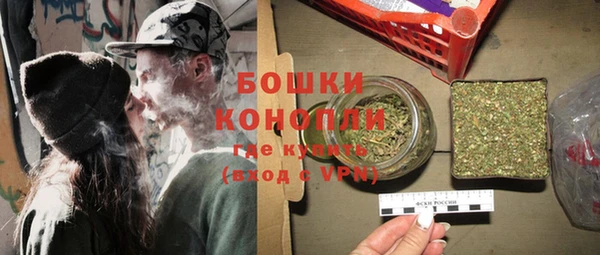 соль ск Козельск