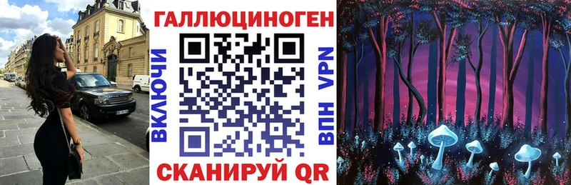 Псилоцибиновые грибы Psilocybe  Кораблино 